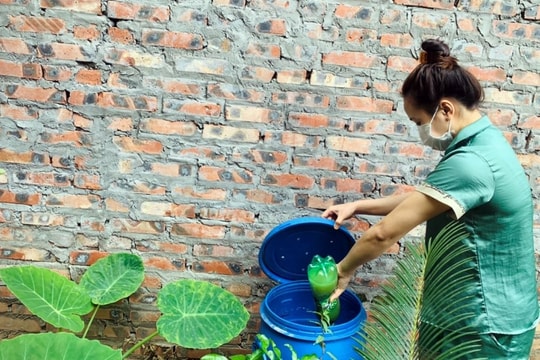 Nhiều lợi ích từ phân loại rác tại nguồn
