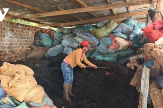 Giá phân bón tăng cao, nông dân Gia Lai tự ủ phân hữu cơ
