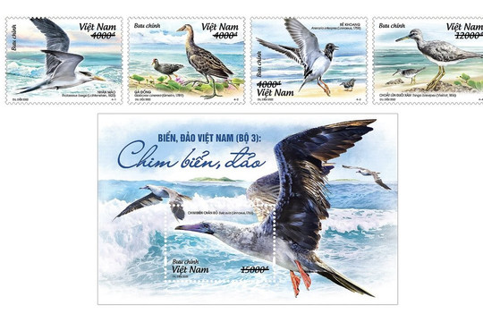 Phát hành đặc biệt bộ tem ‘Biển, đảo Việt Nam: Chim biển, đảo’