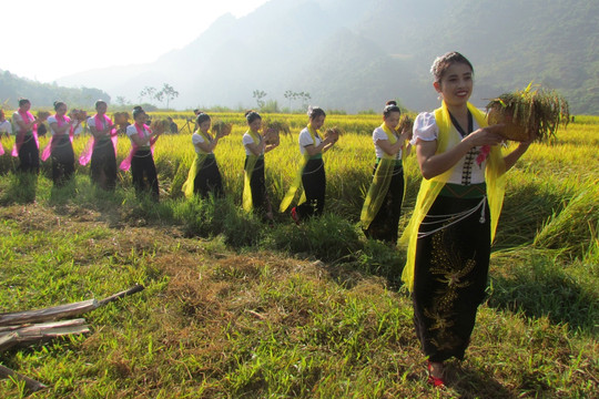 Đặc sắc lễ hội Kin lẩu khẩu mẩu của đồng bào Thái trắng Phong Thổ
