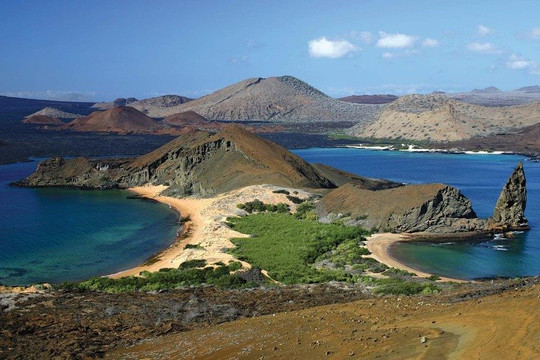 'Vũ khí bí mật' giúp Galápagos chống biến đổi khí hậu
