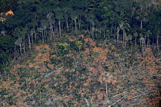 Bảo tồn rừng Amazon để đạt mục tiêu khí hậu